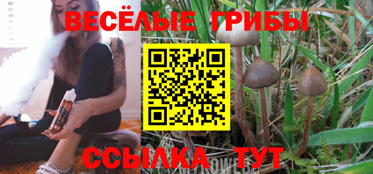 Псилоцибиновые грибы мухоморы  Вход с VPN  Ликино-Дулёво  купить наркотики цена  Галлюциногенные грибы Magic Shrooms 