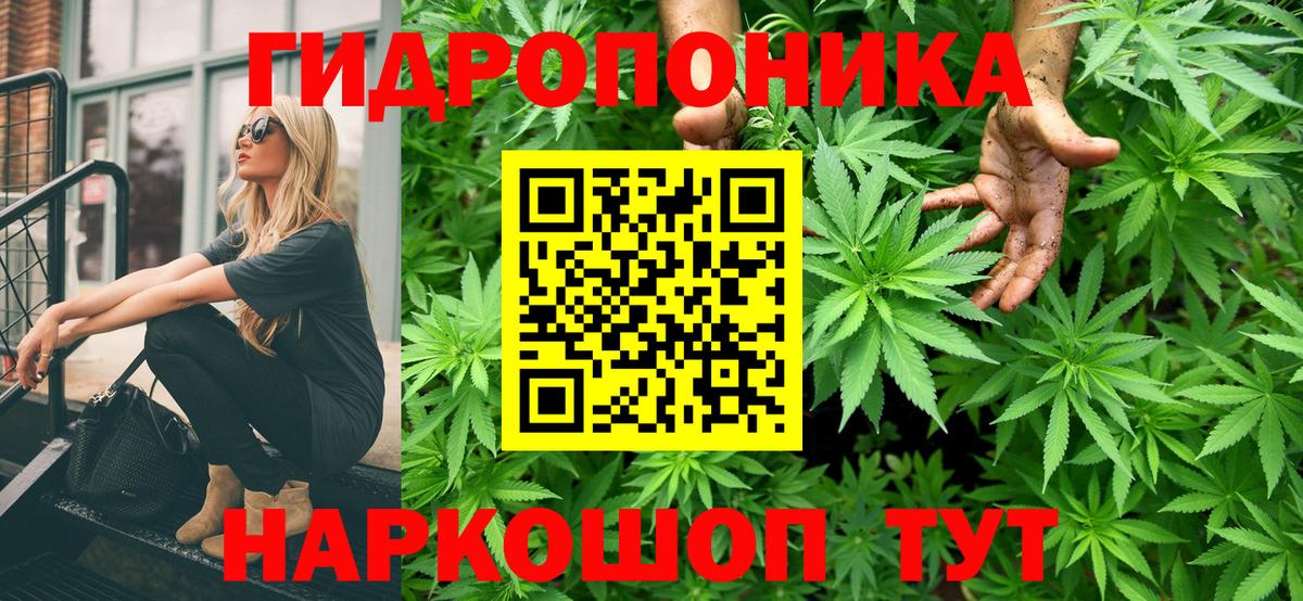 Канабис гибрид Ликино-Дулёво